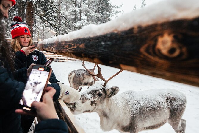 1 Day Pass Lapland Winter Park in Rovaniemi - Warming up in the Kota areas, marshmallow huts, and hot chocolate for kids
