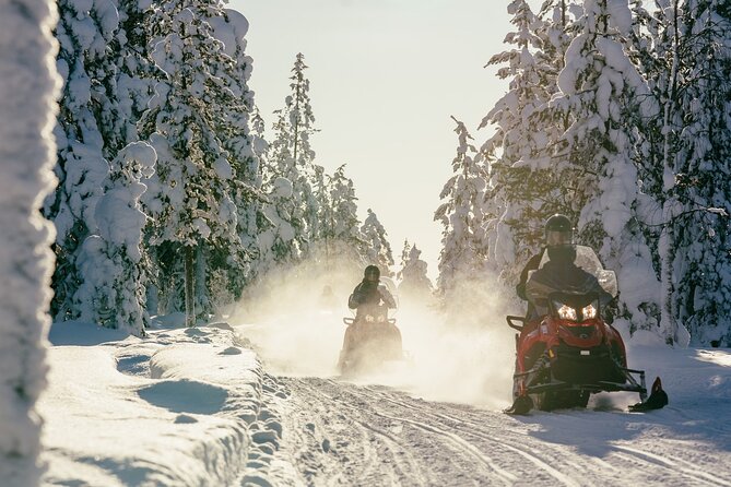 1 Hour Easy Snowmobile Safari in Levi - What You Do During the Ride: Forests, Frozen Lakes, and Photo Pauses