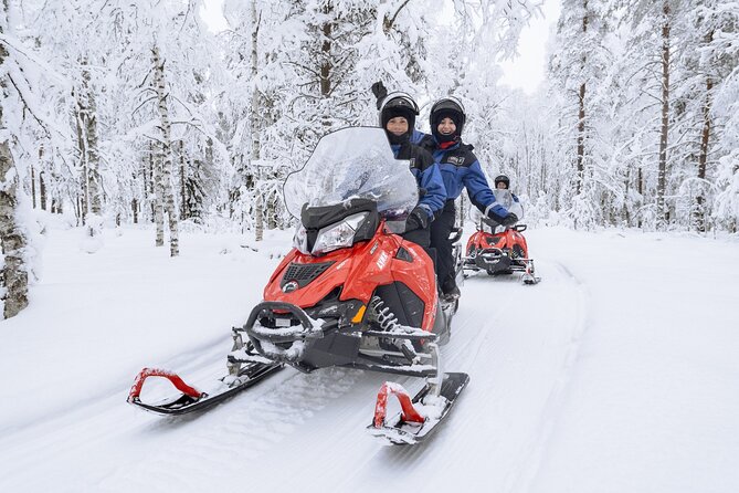 1 Hour Easy Snowmobile Safari in Levi - How the Snowmobiles Work: Two Adults, Passenger Options, and Child Seating