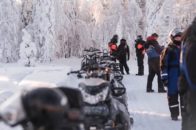 1 Hour Easy Snowmobile Safari in Levi - Where You Meet, What Time to Show Up, and How Transfers Fit In