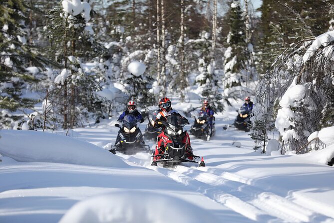 1-Hour Snowmobile Safari Adventure in Rovaniemi - Meeting at Wild About Lapland on Rovakatu 24