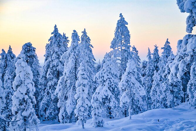 1-Hour Snowmobile Safari Adventure in Rovaniemi - Small Group Size, Maximum 8, Means Less Waiting