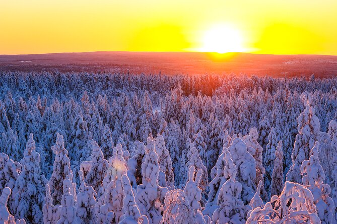 1-Hour Snowmobile Safari Adventure in Rovaniemi - English-Friendly Experience, Without the Guesswork