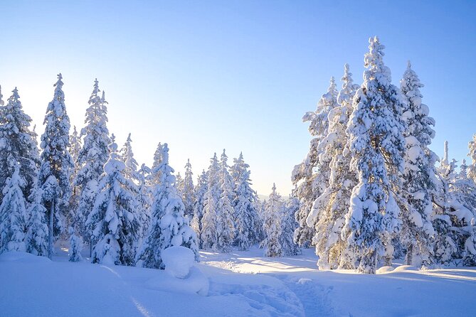 1-Hour Snowmobile Safari Adventure in Rovaniemi - Gear and Warmth, So You Can Actually Enjoy the Ride