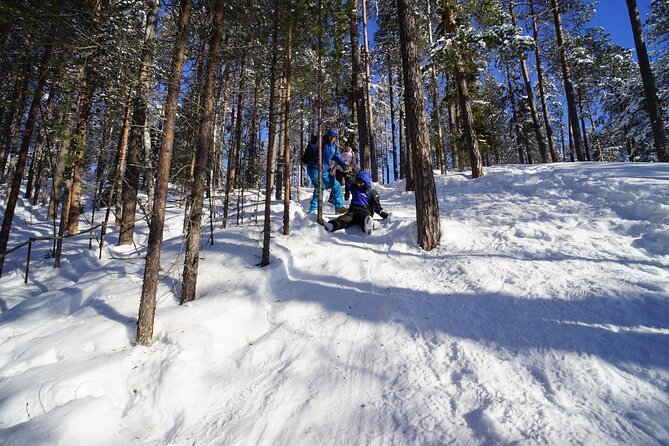 10 km Authentic Husky Safari in the Taiga Forest – Family Kennel - Key things I’d prioritize before you go