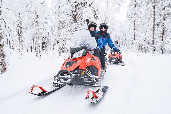 2 Hours Snowmobile Safari to the Levi Nature - Key Highlights You Will Actually Care About