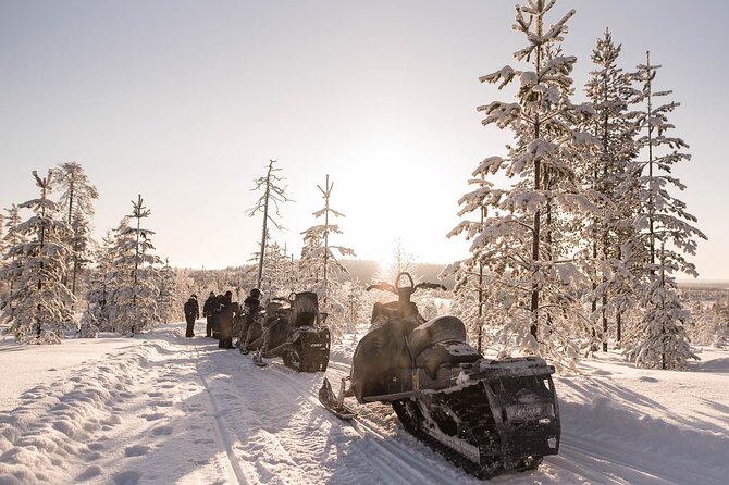 2 Hours Snowmobile Safari to the Levi Nature - The Ride Itself: Lakes, Swamps, and Snowy Forest