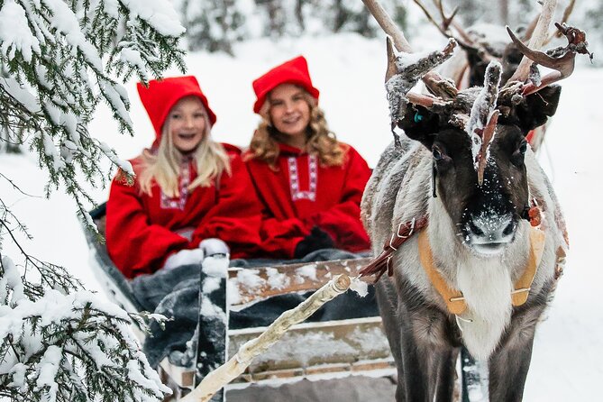 2km Sleigh Ride & Feeding Experience at Traditional Reindeer Farm - Quick Hits Before You Go