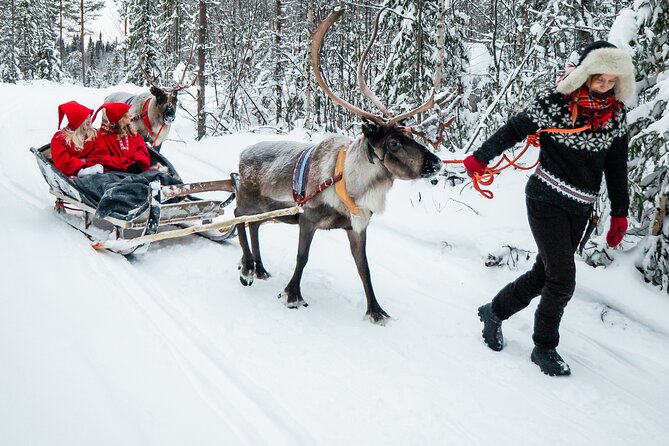 2km Sleigh Ride & Feeding Experience at Traditional Reindeer Farm - Meeting the Herder: Sami Reindeer Culture Comes Through