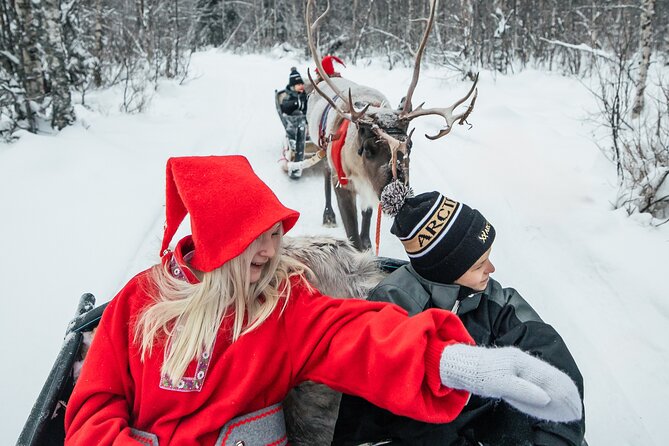 2km Sleigh Ride & Feeding Experience at Traditional Reindeer Farm - Hot Drinks, Snacks, and the Cozy Hut Factor