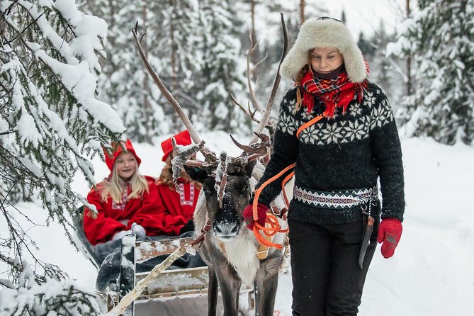 2km Sleigh Ride & Feeding Experience at Traditional Reindeer Farm - Price and Value: What $116 Buys You in Rovaniemi