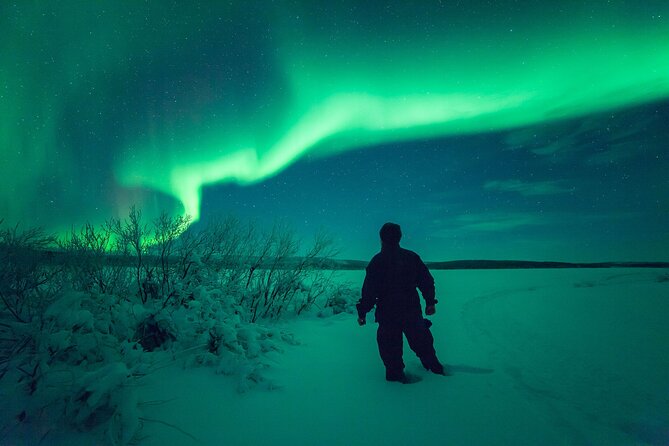 3-h Northern Light Safari by Snowmobiles From Levi - The bonfire break is not just a snack stop