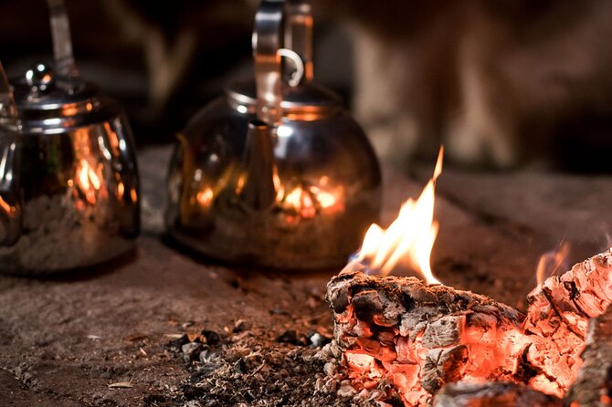 3-Hour Snowmobile Safari to Search Northern Lights in Levi - The Fire Camp Break: snack stops that feel like Lapland, not a pit stop