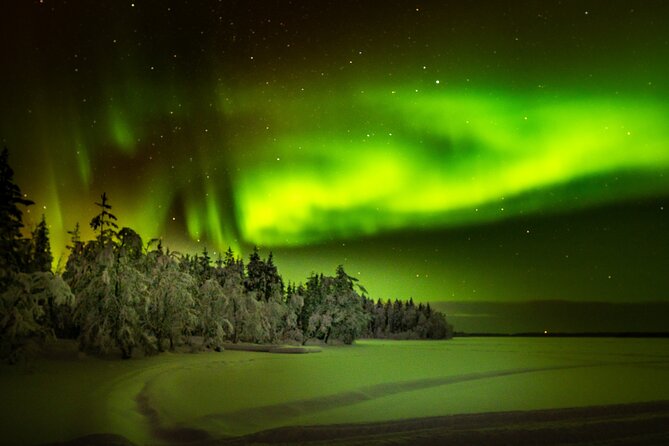 3-Hour Snowmobile Safari to Search Northern Lights in Levi - Riding Setup: who drives, who rides, and how to plan for kids