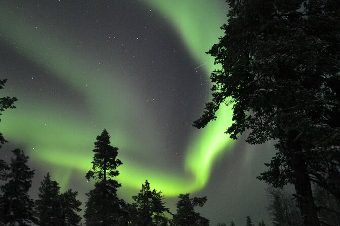 3-Hour Snowmobile Safari to Search Northern Lights in Levi - Safety, Rules, and the 0 Tolerance Alcohol Policy