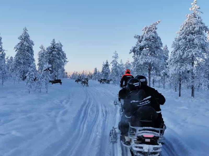 3-hour snowmobiling adventure in Levi - The driving reality check: license rules and liability you should understand
