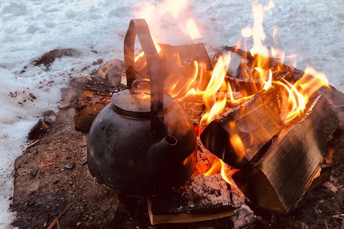 3H Private Snowmobile Experience in Rovaniemi's Forest - Gear, Safety Briefing, and Being Comfortable in Real Arctic Cold