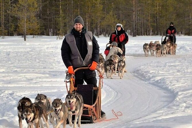 5KM Husky Sled Ride from Levi - The 2 Hours in Lapland: What the 5 km Ride Feels Like