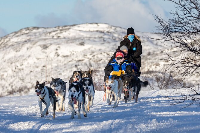 5KM Husky Sled Ride from Levi - Season and Snow Coats: When Early Winter Changes Things