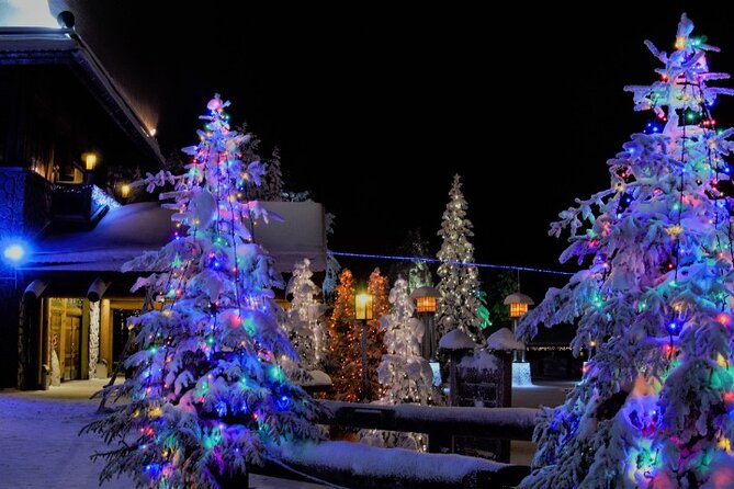 Airport & City Transfers in Rovaniemi - Drop-off experience: quick, direct, and private