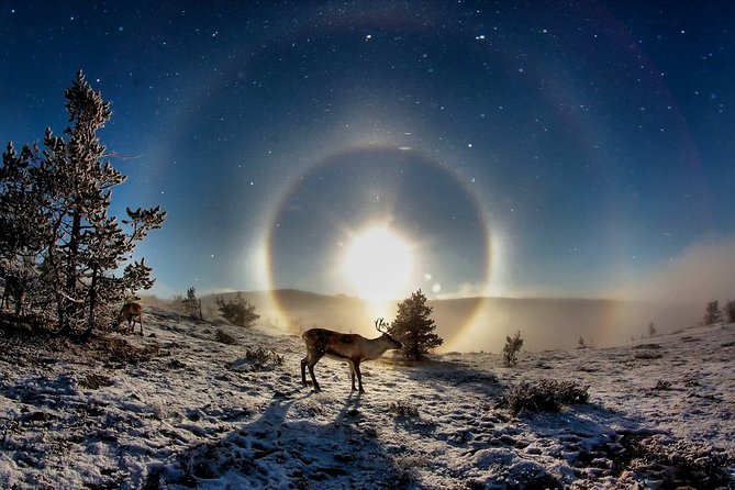 All Day Snowmobile Driving - Entering Lapland by Snowmobile: The Real Appeal