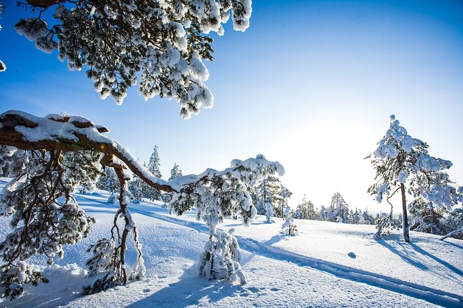 All Day Snowmobile Driving - Ice Fishing Moment: The Fun Add-On That Depends on Weather