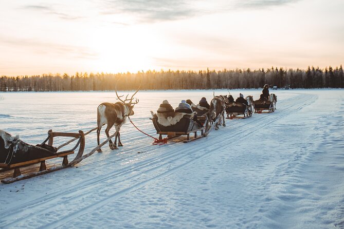 Apukka Reindeer Journey - Reindeer sleigh time outside Rovaniemi, with real Arctic quiet