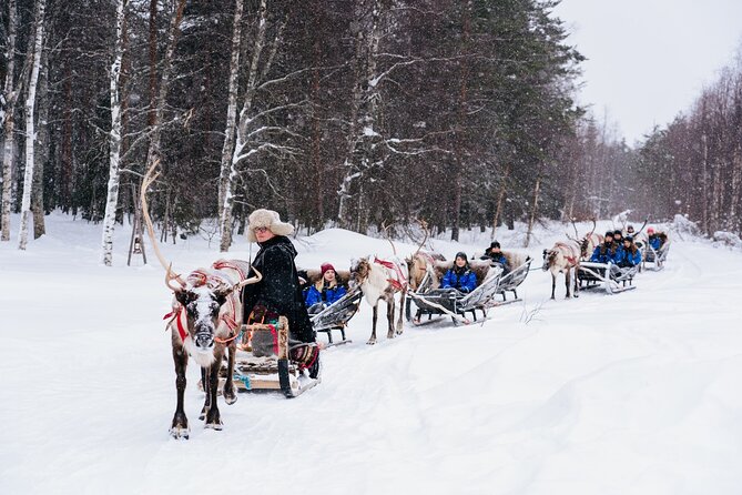 Apukka Reindeer Journey - The ride itself: what you experience on the sleigh