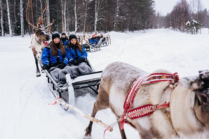 Apukka Reindeer Journey - The vibe at Apukka: resort energy versus small-scale calm