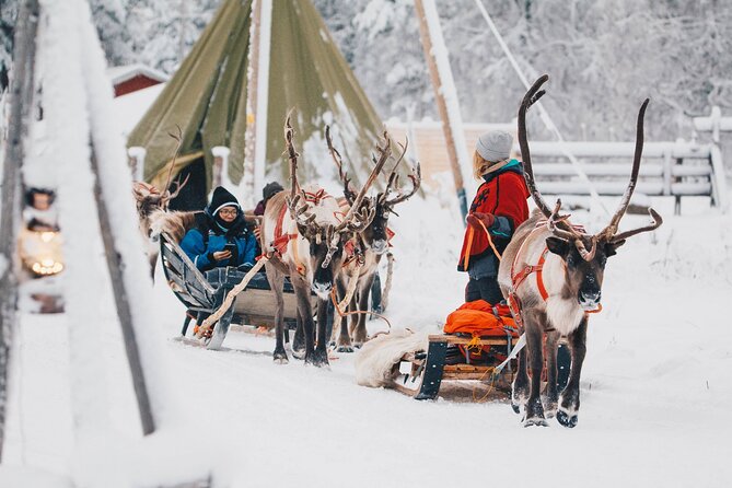 Apukka Reindeer Journey - Price and value: is $215.54 a fair deal for two hours?