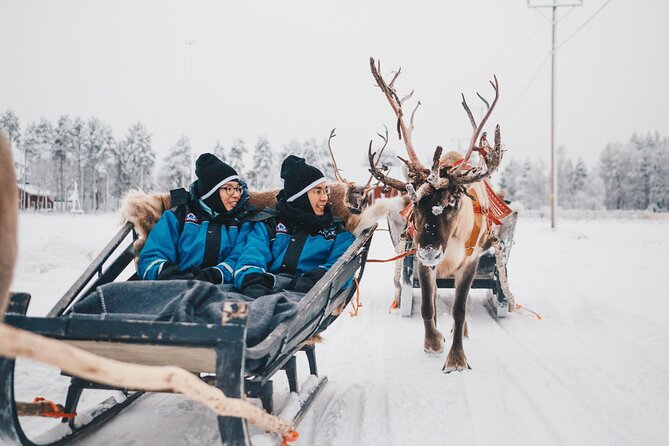 Apukka Reindeer Journey - Animal welfare and safety: what you should watch for