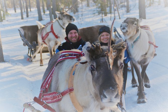 Apukka Reindeer Journey - From pickup to trailhead: how the timing works
