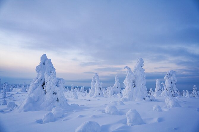 Arctic Adventure through Magical Frozen Forests of Riisitunturi - Key things that make this Riisitunturi tour work