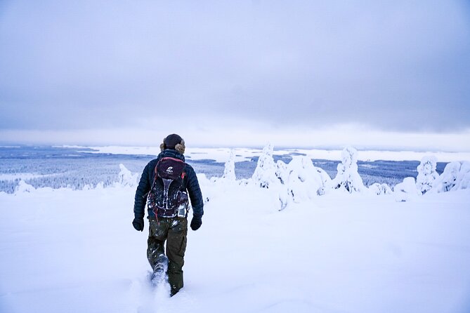 Arctic Adventure through Magical Frozen Forests of Riisitunturi - The 4 km hike: what you will actually do on the trail