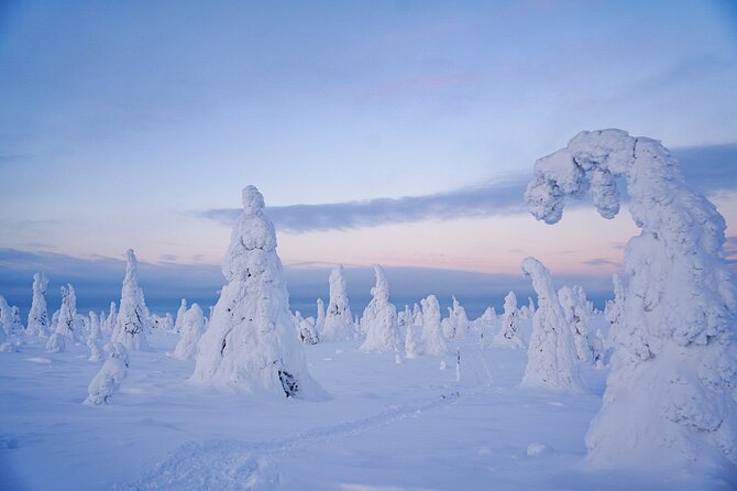 Arctic Adventure through Magical Frozen Forests of Riisitunturi - Campfire snack and lunch Q and A: the warmth part you will remember