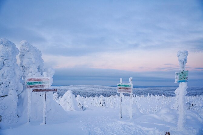 Arctic Adventure through Magical Frozen Forests of Riisitunturi - Timing and how the day flows back to Rovaniemi