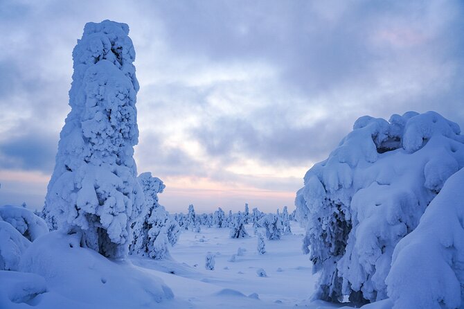 Arctic Adventure through Magical Frozen Forests of Riisitunturi - Price and value: what $228.56 buys you in real terms