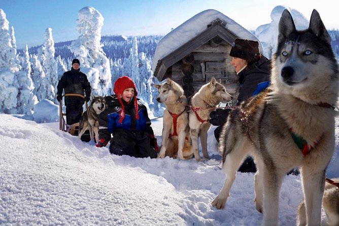 Arctic Circle Family Day - Snowmobiling for families: twin riding, switching, and age rules