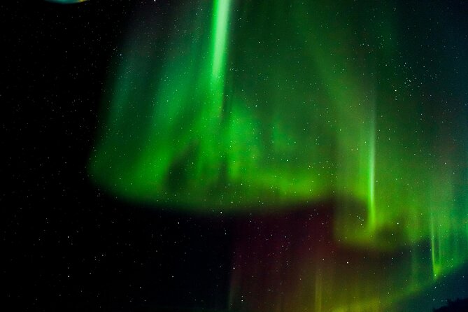 Arctic Darkness & Starlight Adventure with Snowshoes - Key points to know before you go