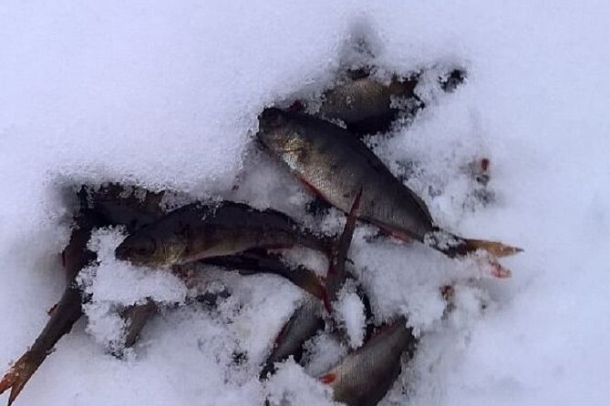 Arctic Day with Ice Fishing and Floating - Pickup In Rovaniemi: Easy Start, Less Winter Stress