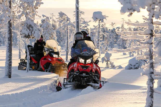 Arctic Delight - Visit to Santa's Village and snowmobiling to reindeer farm - Who should book Arctic Delight, and who should pass