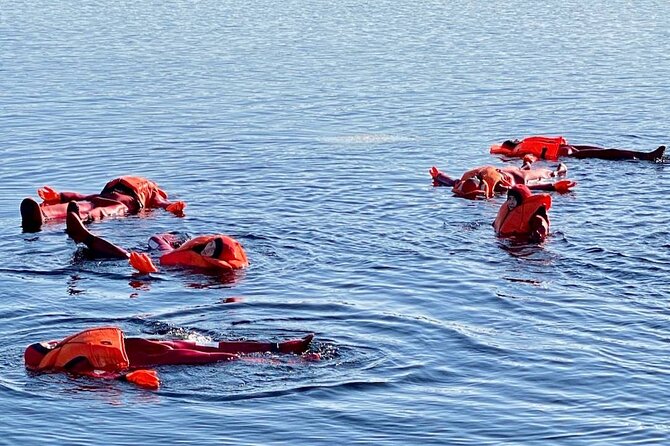 Arctic Ice floating in Puumala - The Value: What You’re Really Paying For