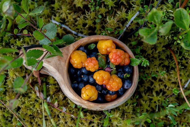 Arctic Wilderness Hike with Fire-making - A 3.5-hour Lapland hike that fits most people