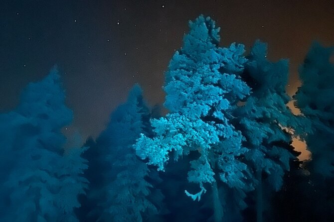 Aurora Borealis Dinner in a Glass Igloo - The 3-hour flow: pickup, lakeside igloo, and lights hunting