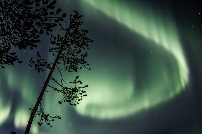 Aurora Borealis Picnic in Rovaniemi - Aurora Hunting Logic, Why This Region Helps