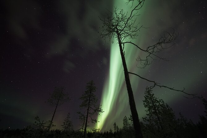 Aurora Borealis Picnic in Rovaniemi - Price and Value for $113.37 Per Person