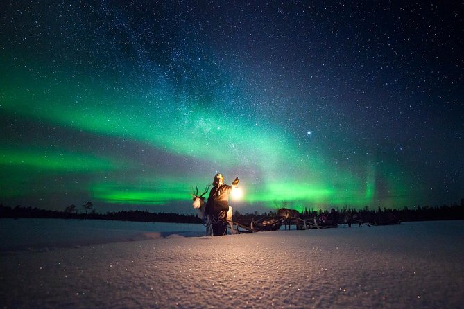 Aurora Hunting by Reindeer Sleigh - Reindeer first, Northern Lights second (and why that order helps)
