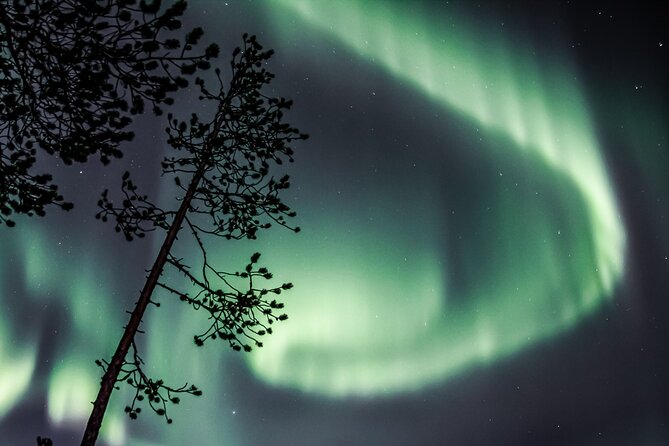 Aurora Hunting Photo Tour from Rovaniemi with Pickup - Pickup, timing, and the small-group vibe
