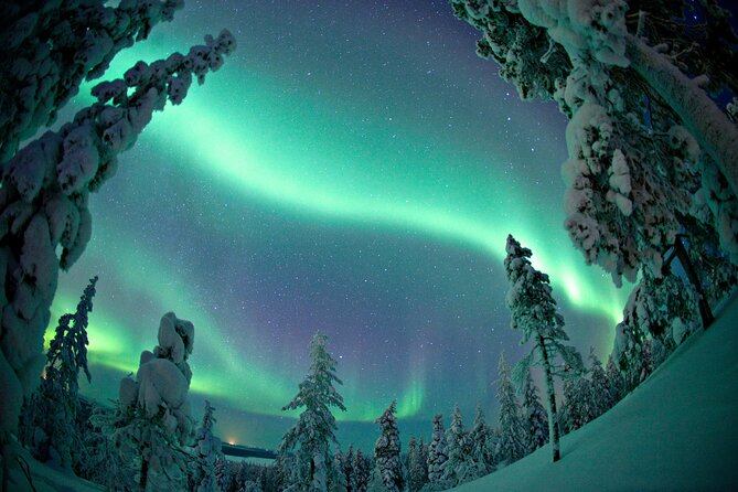 Aurora Photo Experience by Car from Saariselkä - The sky-watching break: hot drinks, gingerbread, and real patience