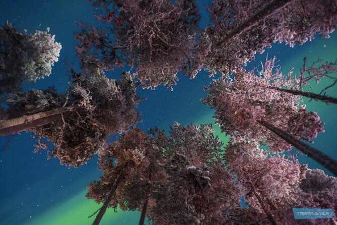 Aurora Photography Tour 3 HOURS - Price and value: what $167.74 buys you in this short window